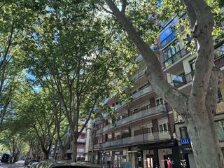 Piso en Campo Grande. Moncasa vende amplio piso en paseo zorrilla a un paso del centro