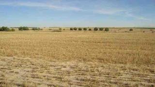 Finca rústica a Zarza (La). Venta de suelo rustico en la zarza