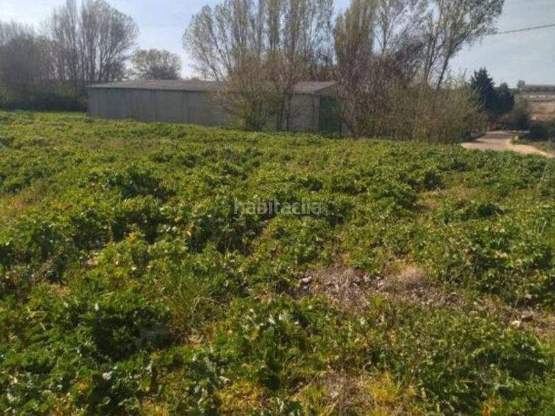Foto dea2ab88-5ca8-4e92-8ad8-899b66544e8a. Terreno residencial terreno rustico y urbano en Fuentesaúco