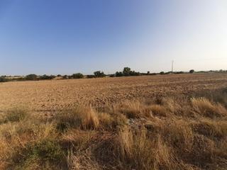 Rural plot in Pinilla