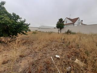 Residential Plot in Morales del Vino