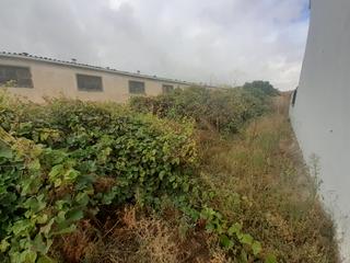 Residential Plot in Roales