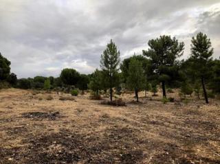 Landgut in Toro