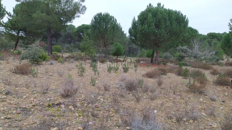 Foto c736e457-70e6-4a78-a18f-735e26253d52. Finca rústica a Toro