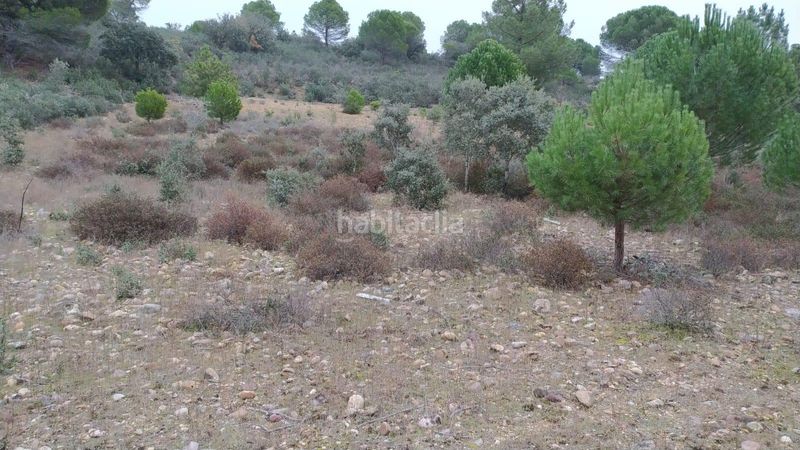 Foto e97b7a96-564b-4c85-8de9-34d7ef46424c. Finca rústica a Toro