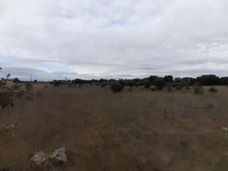 Fondo rustico in Perdigón (El)