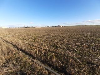Rural plot in Villaralbo