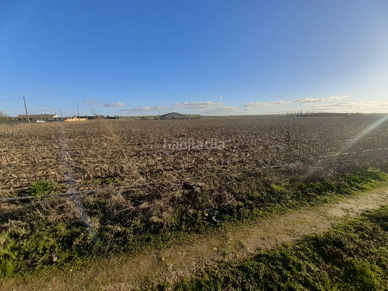 Foto 4bd3b0ae-c0ac-4b2e-b9e5-c7db0c4caf01. Finca rústica a Villaralbo