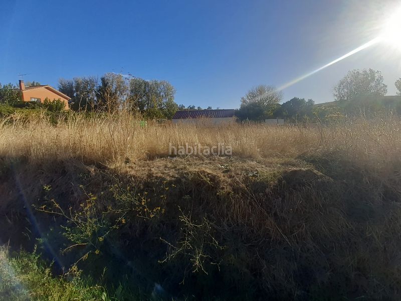Foto 45908d31-39db-44e4-aee4-11b9a2928c6a. Finca rústica a Hiniesta (La)