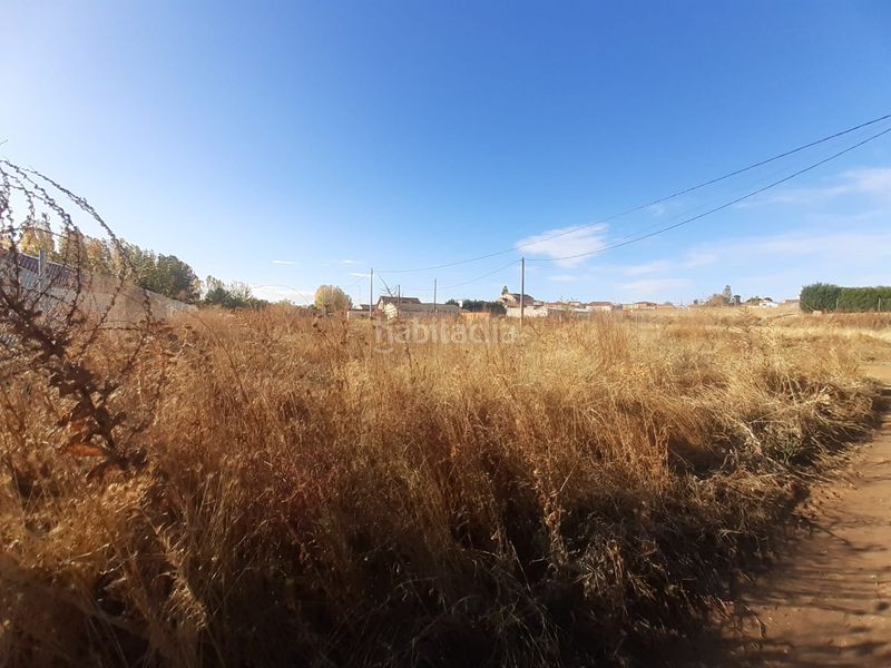 Foto ba608d7b-a9cc-42a7-96e1-0e3fcb8ab505. Finca rústica a Hiniesta (La)