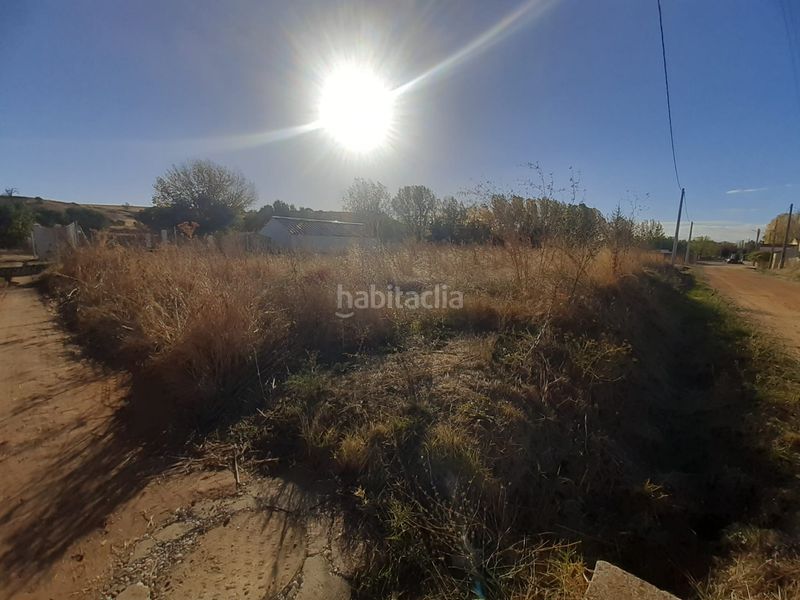 Foto de9fa942-a187-45b3-baac-d907c376948a. Finca rústica a Hiniesta (La)