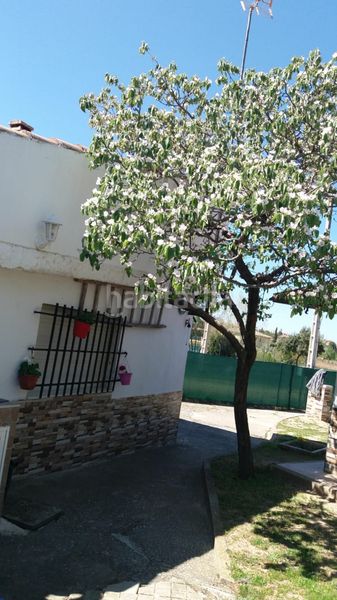 Foto 5d257870-c045-4cbb-afa9-bc4f25057e41. Finca rústica a Hiniesta (La)
