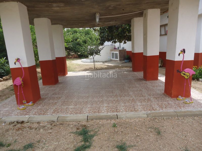 Foto 6268fe38-bc9b-4495-82e4-0e0a92312d90. Finca rústica a Hiniesta (La)