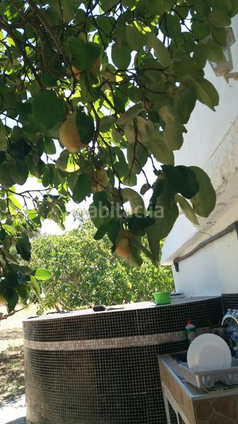 Foto ac89b550-6106-4f9e-a883-fa462b9fbf8c. Finca rústica a Hiniesta (La)