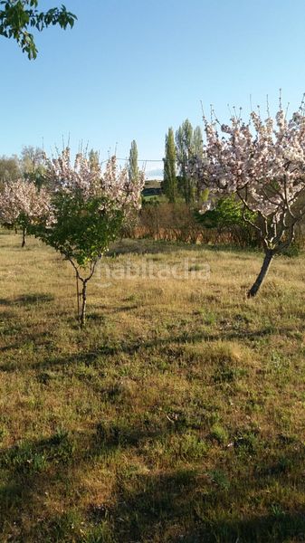 Foto af7542cf-7cbc-4d4b-ab2a-3fd2c3c42e9d. Finca rústica a Hiniesta (La)