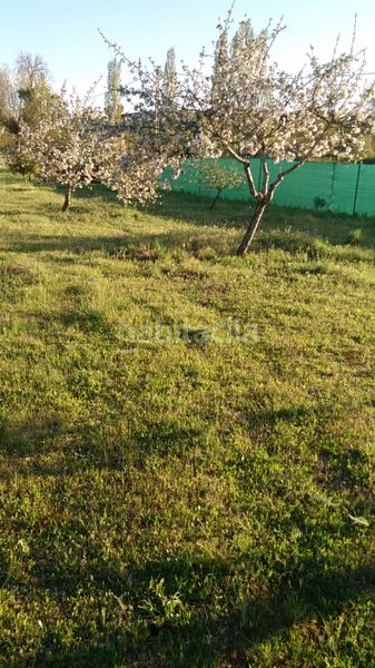 Foto c84e9d56-f92f-4683-b342-ef6eaca3c9b6. Finca rústica a Hiniesta (La)