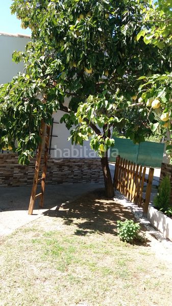Foto d4f919f5-e0e4-4cd1-929c-6f88a69b32c7. Finca rústica a Hiniesta (La)