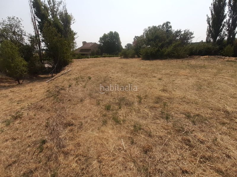 Foto 4e64dd75-728a-4166-b283-54037e90ef22. Finca rústica a Morales del Vino