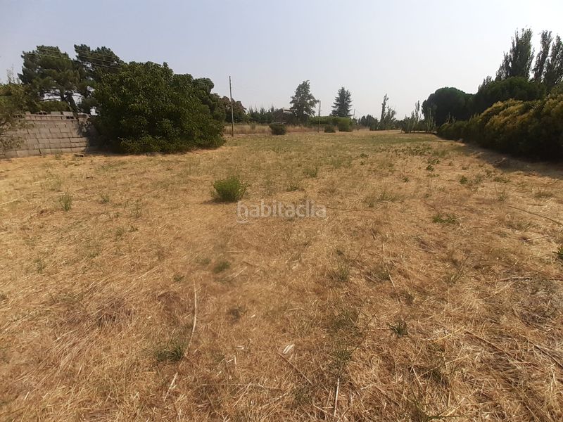 Foto 51363885-4a61-4542-8c64-41f441ea15aa. Finca rústica a Morales del Vino