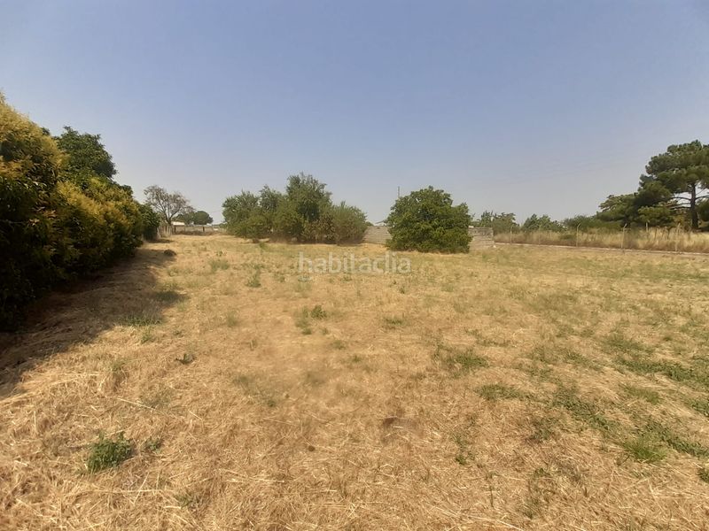 Foto 705d1aa6-d86f-42b7-9c50-f8d670cffd9a. Finca rústica a Morales del Vino