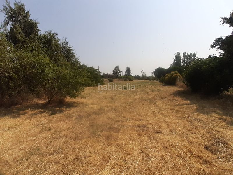 Foto cf7cade6-8c7d-42ee-8ebd-6636b4306bfc. Finca rústica a Morales del Vino