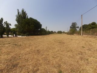 Fondo rustico in Morales del Vino