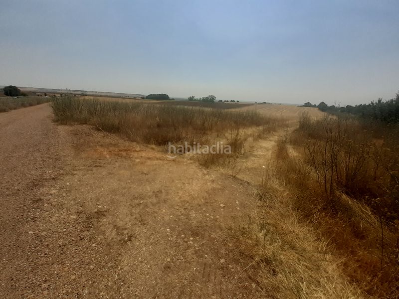Foto a48e7622-c11c-45b2-bd86-4c2a3b04f4c1. Finca rústica a Valcabado