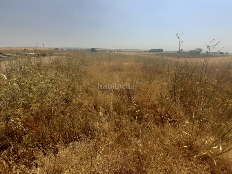 Foto bacdc29b-4030-45c5-9d63-1822bbfe46c2. Finca rústica a Valcabado