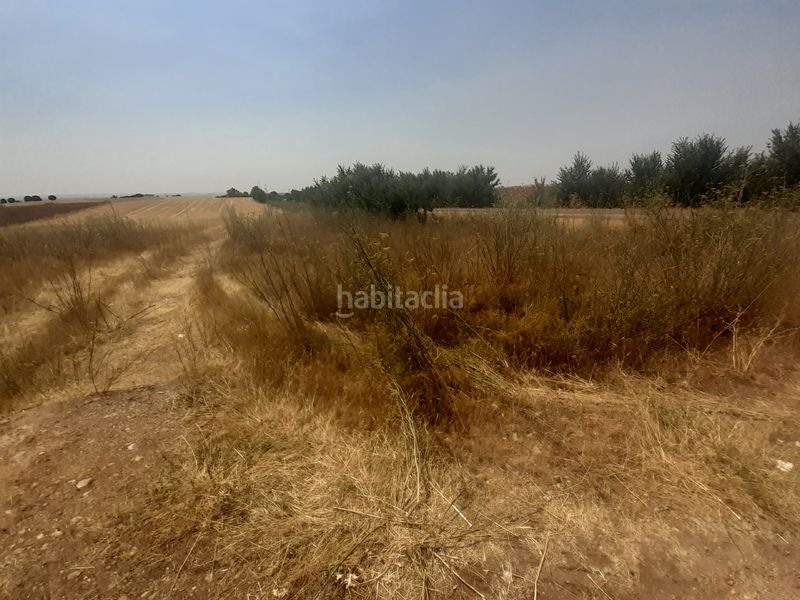 Foto bad8f7ca-c87f-44be-a0a2-8eb9a5201ff4. Finca rústica a Valcabado
