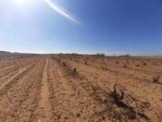 Finca rústica a Moraleja del Vino