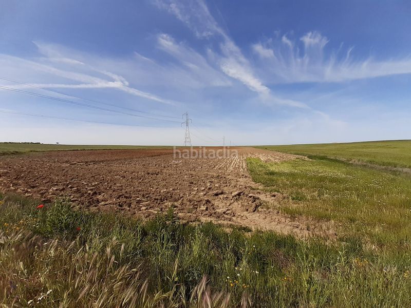 Foto 0cee097c-0625-48bc-99ed-ff721c58eaa5. Rural plot in Hiniesta (La)