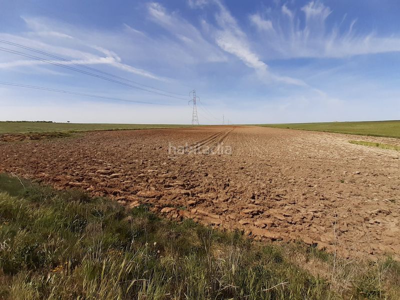 Foto 795f06bb-a542-4a1d-bfae-76896c9194f3. Rural plot in Hiniesta (La)