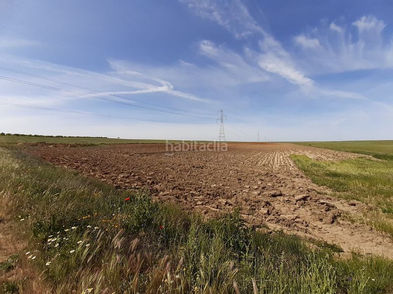 Foto 8aa03679-7652-405f-b1d8-e990d1a1068c. Rural plot in Hiniesta (La)