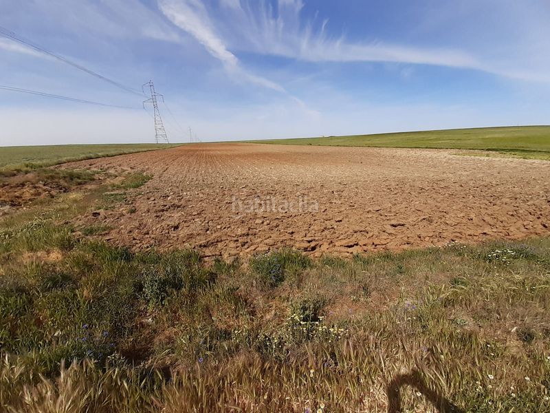 Foto f0973001-27b7-4d20-9af7-b016a570c6db. Rural plot in Hiniesta (La)