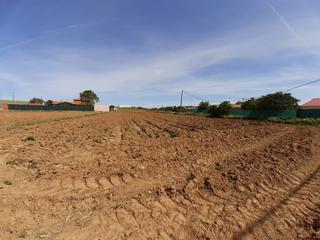 Terreny residencial a Roales