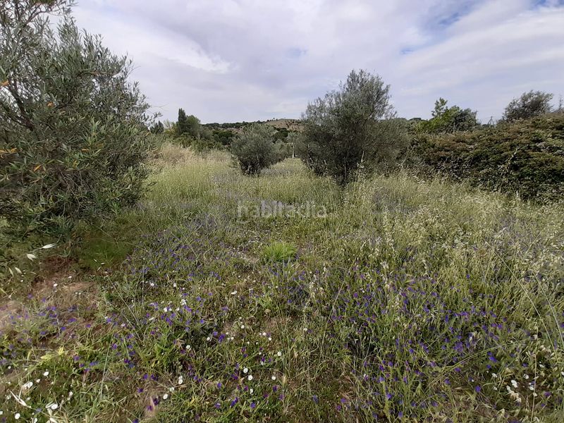 Foto 4912a598-654c-4b86-92e7-e7cd7419d161. Rural plot in Hiniesta (La)