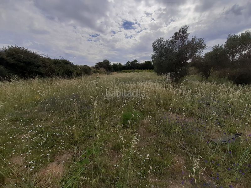 Foto 7dee6afd-097a-46d2-90f2-e42ef5ca2846. Rural plot in Hiniesta (La)