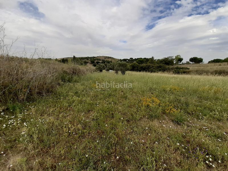 Foto bfed016c-345e-41d2-878c-ad47abb9c1f1. Rural plot in Hiniesta (La)