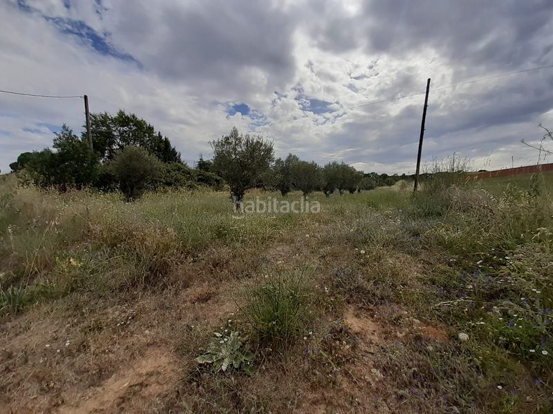 Foto c1d11d48-ca29-4349-b654-ad8b75c57882. Rural plot in Hiniesta (La)
