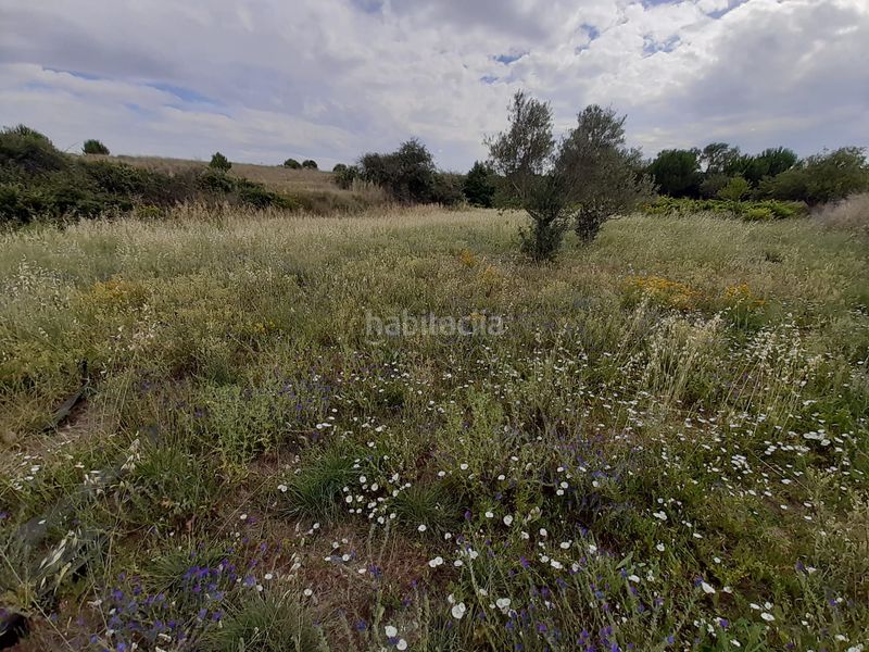 Foto c2f31b48-1086-464c-9e1c-c8d0a34ef05c. Rural plot in Hiniesta (La)