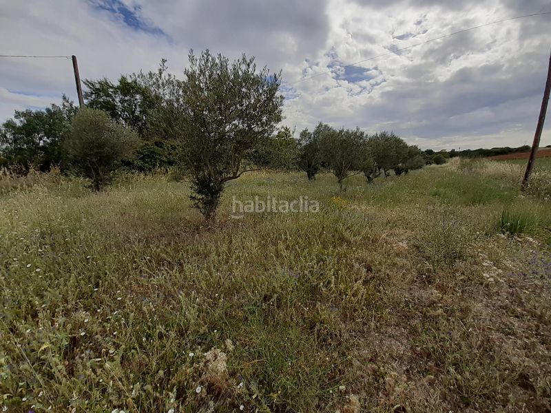 Foto dc8fbef7-e785-44ea-9d75-7c698120501b. Rural plot in Hiniesta (La)