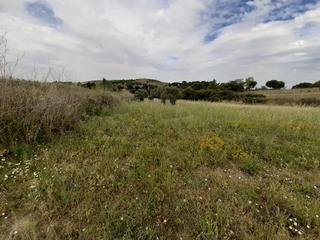 Finca rústica a Hiniesta (La)