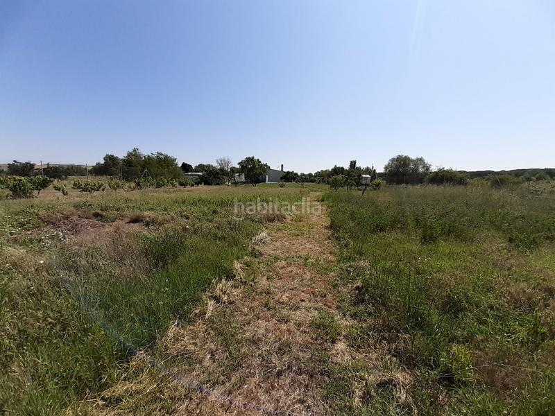 Foto 9c783c36-ddd4-4df4-9688-6426f1334906. Finca rústica a Coreses