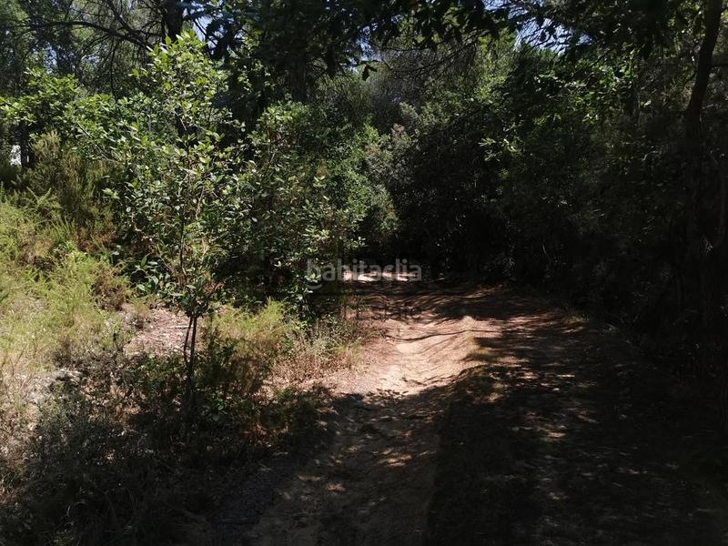 Foto d36a67bf-9aa1-4d88-9d8d-7f88356fa736. Mas dans Niàgara Parc -Àgora Parc Tordera