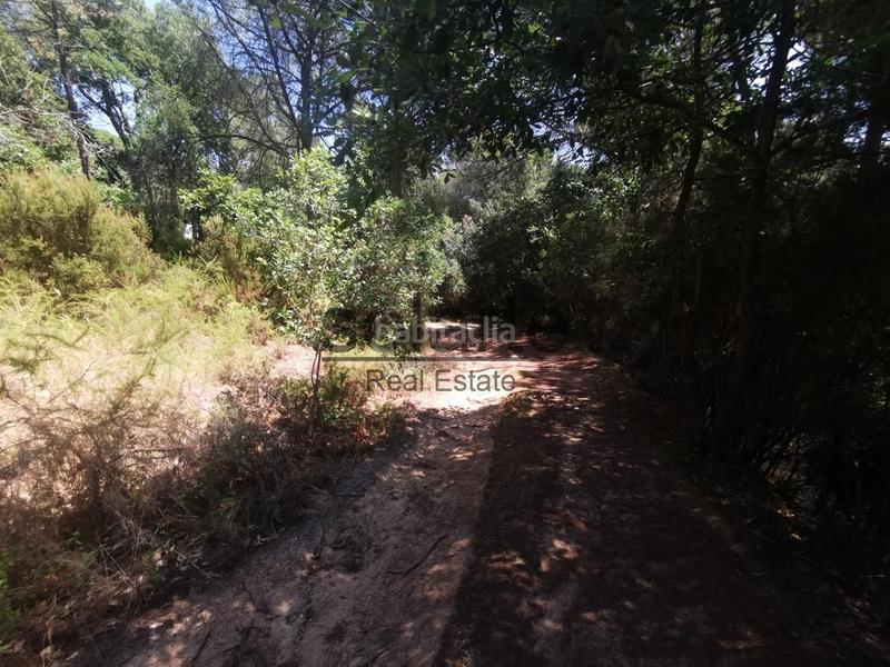 Foto d99772e5-7916-435d-9f75-4c0c0f8d0678. Mas dans Niàgara Parc -Àgora Parc Tordera
