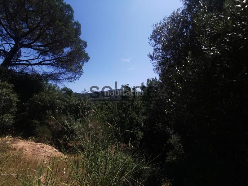 Foto dc3df8e0-5bf2-4db9-b8dd-dbd268cd47e3. Mas dans Niàgara Parc -Àgora Parc Tordera