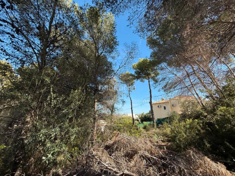 Foto ae7521fc-3922-41f0-91da-ee58804bbc29. Terreno residencial en Moravit-Cap Blanc Moraira