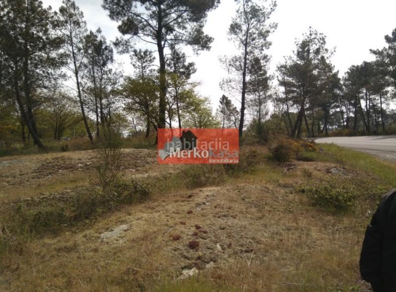 Foto 483c3c4b-4fa9-488b-ad6f-441b4a60dc10. Terreno residencial se vende finca rustica zona de castelo en Lugo