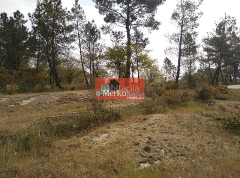 Foto b3eec298-d716-407e-994e-76b4901ad676. Terreno residencial se vende finca rustica zona de castelo en Lugo