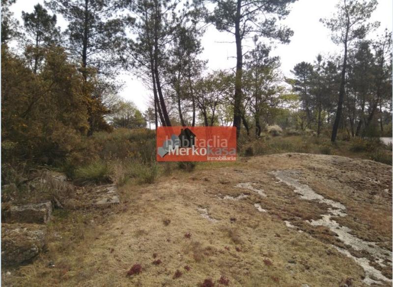 Foto bf0ceb85-7775-445c-8268-ea6b21a3ad71. Terreno residencial se vende finca rustica zona de castelo en Lugo